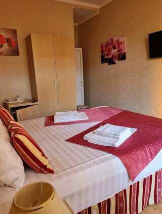 Гостиница Каллисто Адлер Двухместный номер с 1 кроватью и собственной ванной комнатой-3